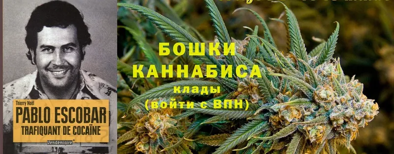 цены   Ялуторовск  Канабис индика 